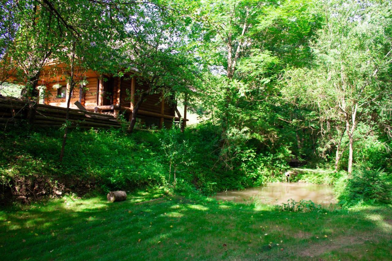 Тихий Куточок Villa Izki Eksteriør bilde