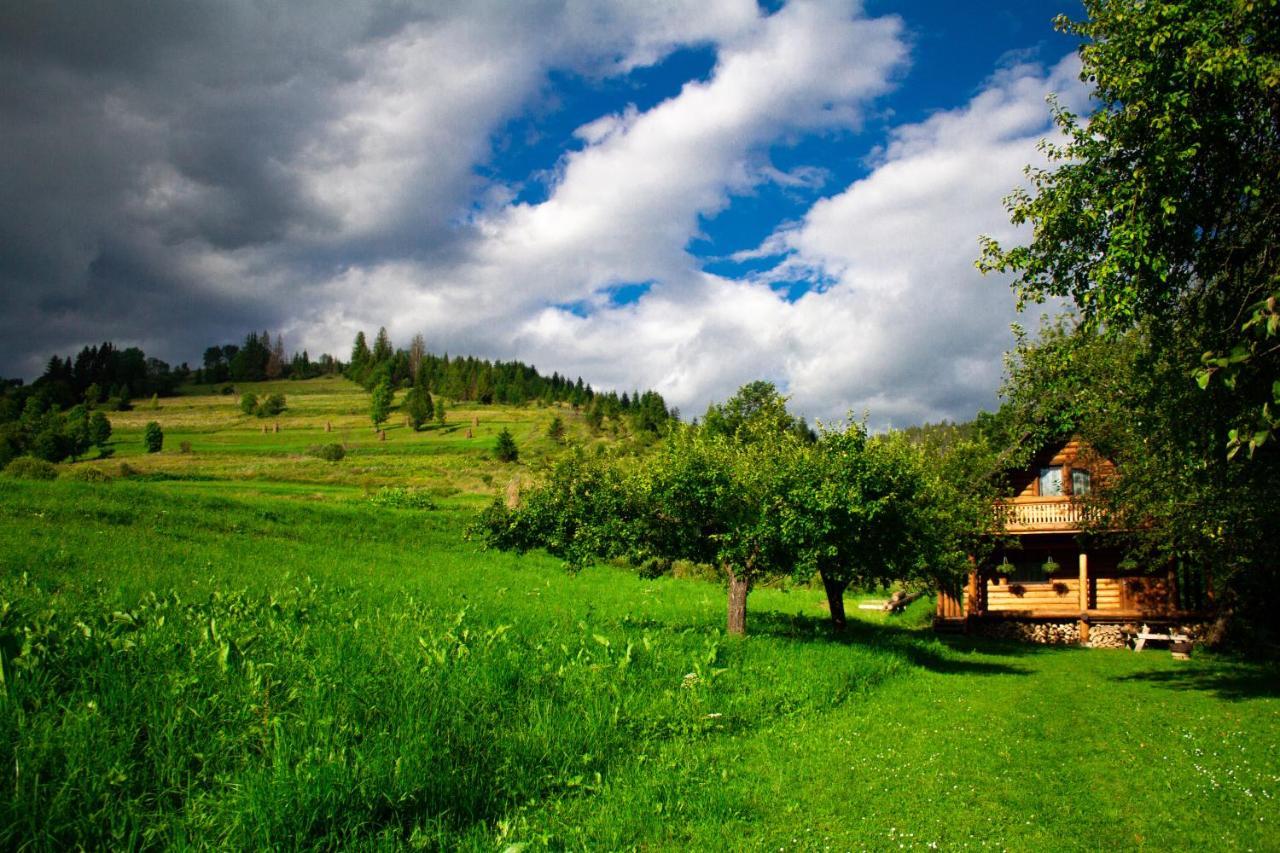 Тихий Куточок Villa Izki Eksteriør bilde