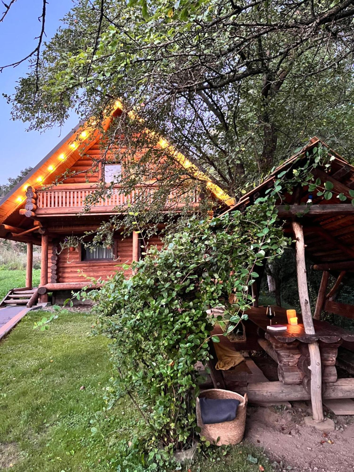 Тихий Куточок Villa Izki Eksteriør bilde