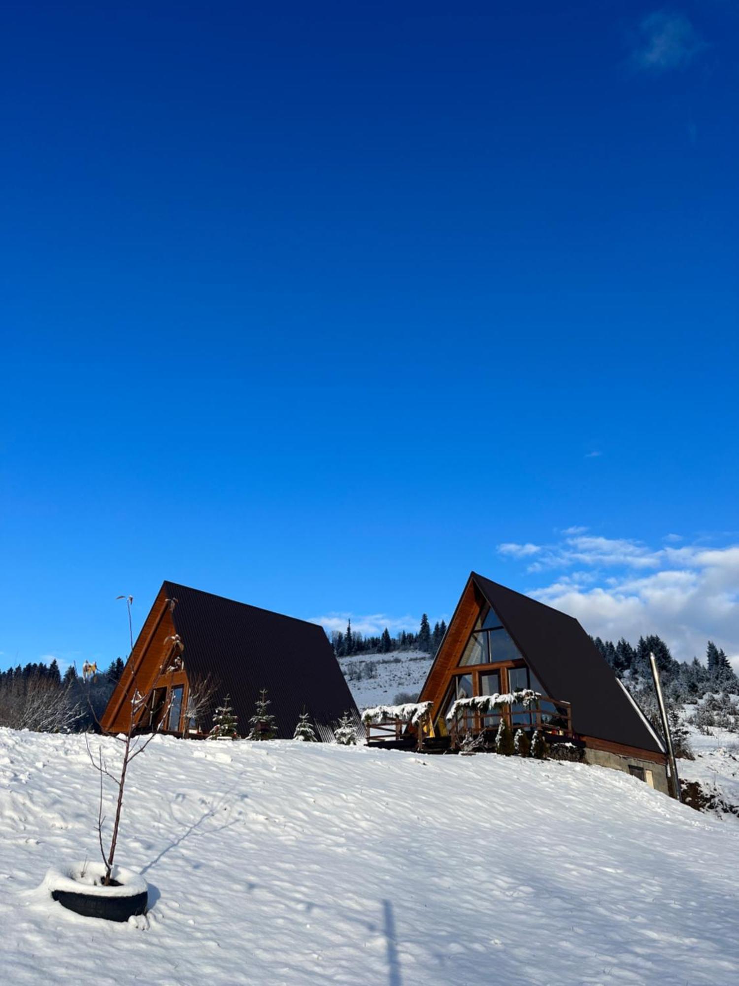 Тихий Куточок Villa Izki Eksteriør bilde
